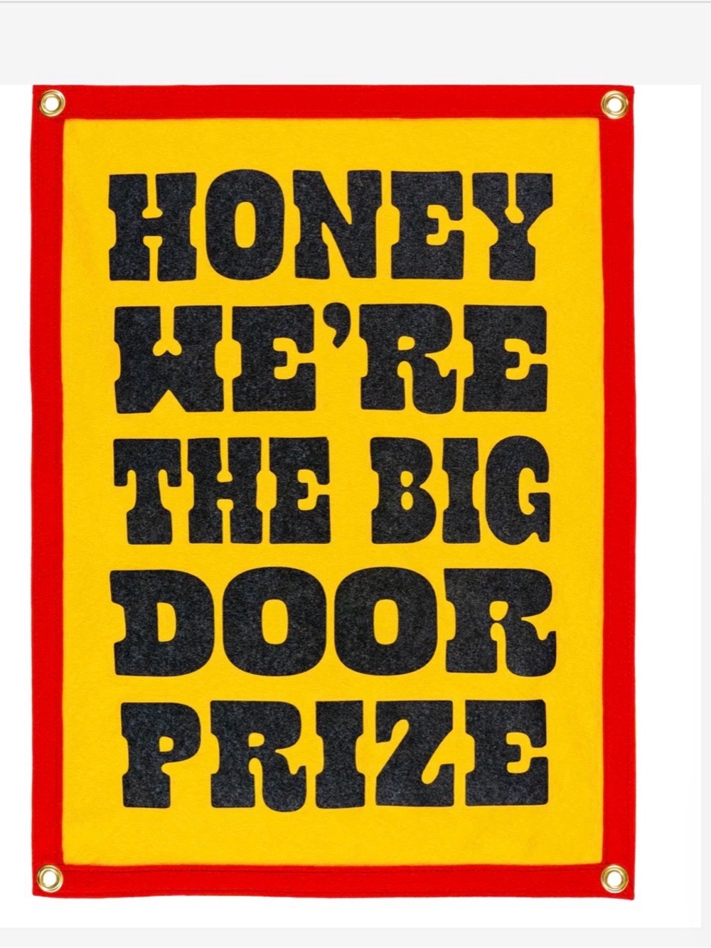 We're The Big Door Prize Camp Flag • John Prine x Oxford Pennant NWOT
